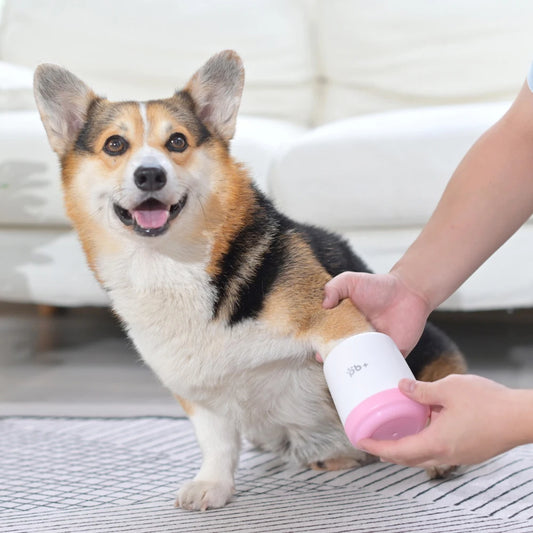 Haven Dog Paw Cleaner