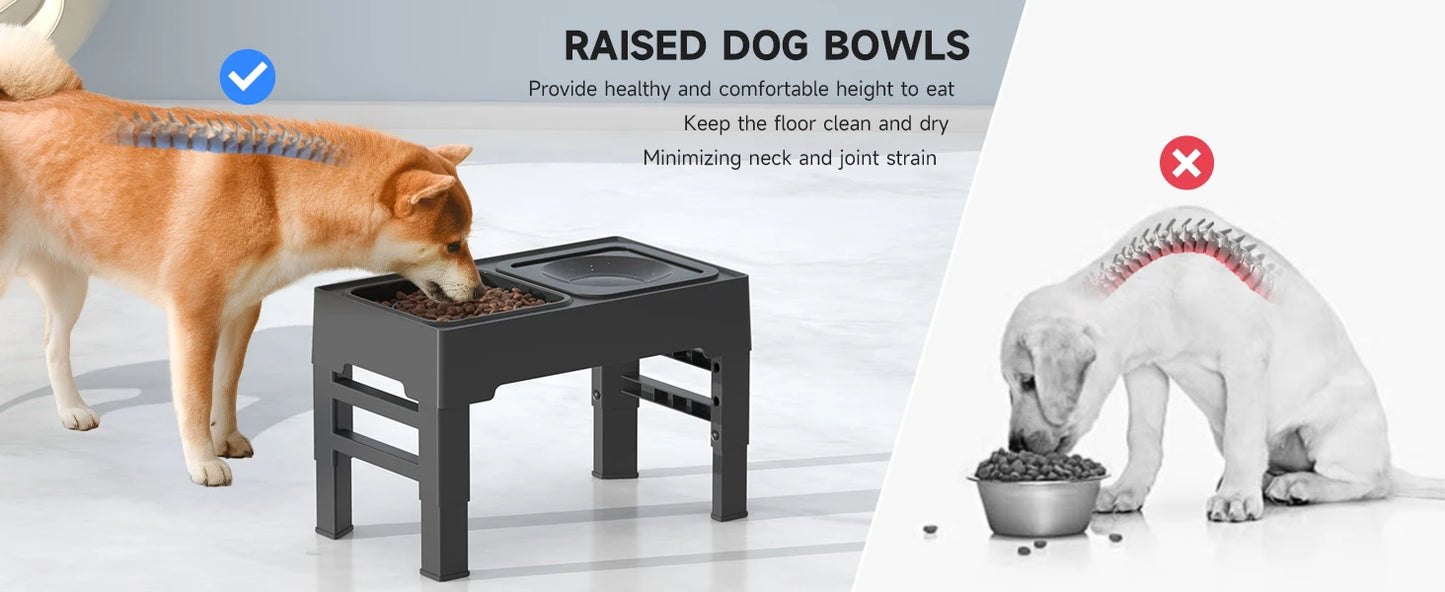 PawFeast™ Elevated Bowl Set